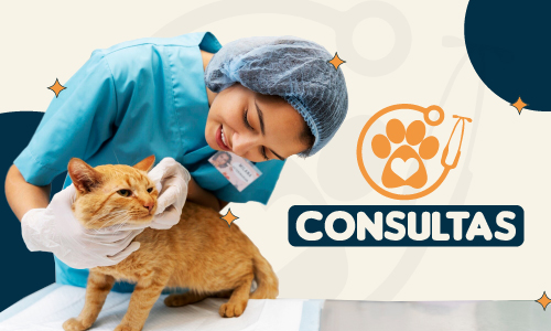Consultas